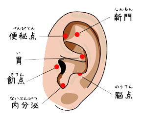 耳つぼ